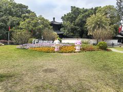 -荔湾湖公园