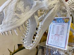 -布吉佳兆业广场