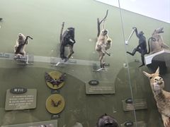 -国家自然博物馆