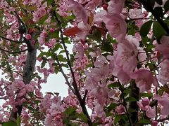 -白塘生态植物园