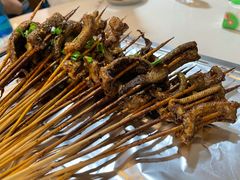 鳝鱼-晓靖轩烧烤(沙河风情店)