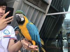 -烟台海昌鲸鲨海洋公园