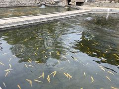 -天源渔港农庄