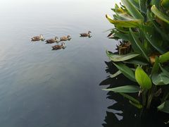 -一江春水·杭帮臻宴(三台山店)