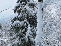-九峰山