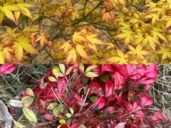 -千龙湖生态旅游度假区