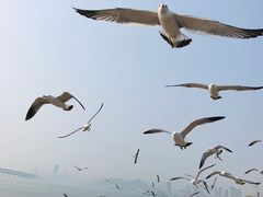 -星海广场
