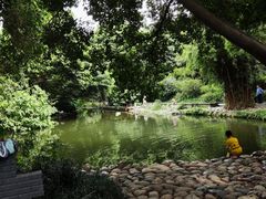 -成都市活水公园
