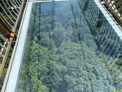 -牛鱼嘴原始生态风景区