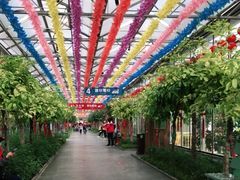 -南宫五洲植物乐园