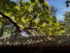 -潭柘寺景区