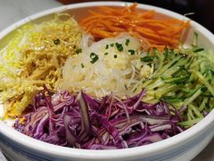 东北大拉皮-孙记驴肉山庄(李桥店)