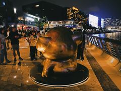 -星光大道