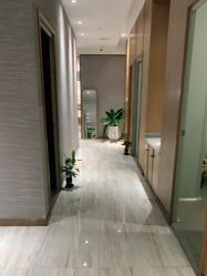-苑苑vbeauty科技美容SPA
