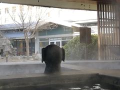 -中家鑫园温泉酒店鑫悦汤泉