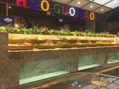 -火锅岛潮牌自助餐厅(天津天佑城店)