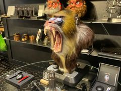 -drivepro(新天地北里店)
