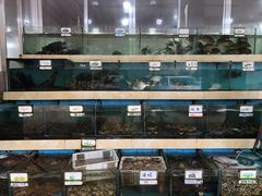水产区-秋姐美食店(旅游大道店)