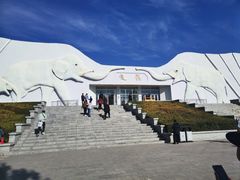 -大青山野生动物园