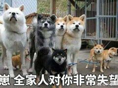 -德克士(武陟新胖发祥店)