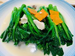 盐水菜心-山东老家(黄埔分店)