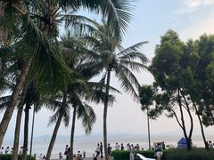 -深圳湾公园(南山区)