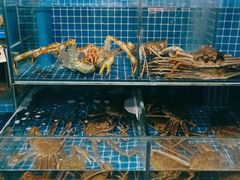 -本家食堂(华南店)