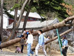 -阳台山自然风景区