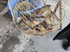 -光头佬室内钓虾场·烧烤·团建·亲子(中山八路店)