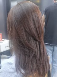 -藤野造型