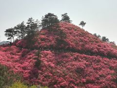 -木兰云雾山