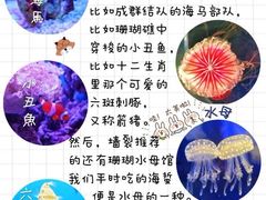 -上海海昌海洋公园