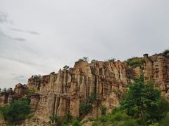 -元谋土林景区(物茂土林)