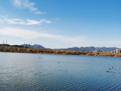 -永定河休闲森林公园