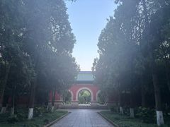 -灵谷景区