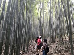 -石塘人家