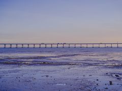 -宝安西湾红树林湿地公园