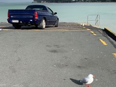 -Takapuna Beach Cafe