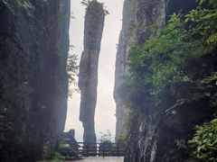 -恩施大峡谷