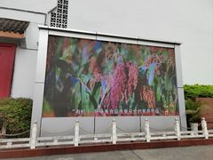 -泸州老窖景区