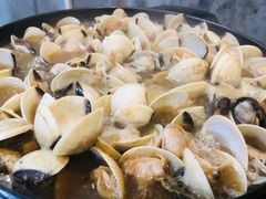 -顺德哥卜卜贝(旗舰店)