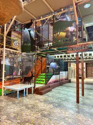 点击看大图 -卡通尼·Safari非洲探索乐园·生日会(金桥国际商业广场店)