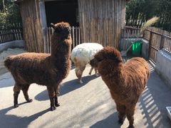 -兰陵国家农业公园