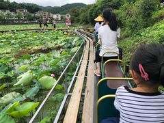 -红山村
