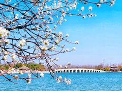 -颐和园