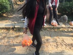 -雨花胜境
