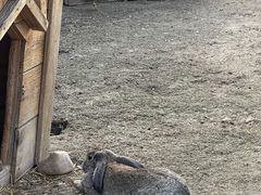 -祥源·阜阳生态乐园