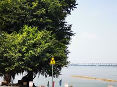 -八仔大富楼·河鲜(西江店)