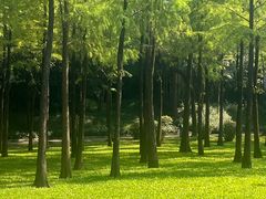-晓港公园