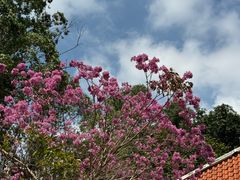 -南国桃园旅游度假区